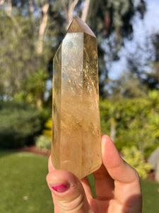 Citrine Tower MI