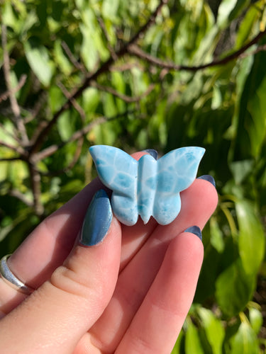 Larimar Butterfly