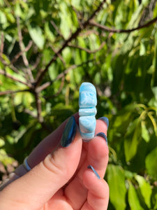 Larimar Butterfly