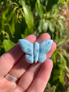 Larimar Butterfly