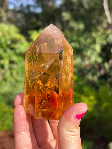Citrine Tower MS
