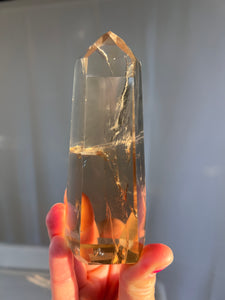 Citrine Tower MN
