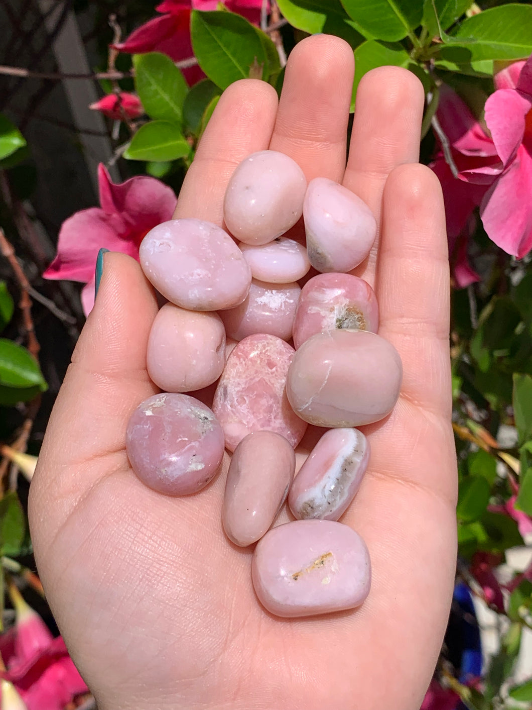 1 Pink Opal Intuitively Selected*