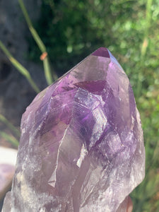 Phantom Amethyst Point