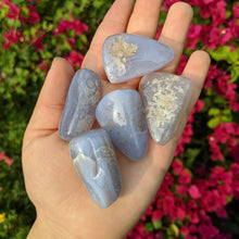 Load image into Gallery viewer, 1 Large Blue Lace Agate Tumble