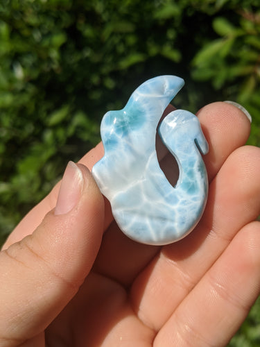 Larimar Swan*