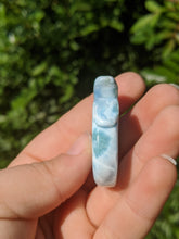 Load image into Gallery viewer, Larimar Swan*