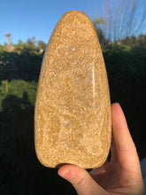 Load image into Gallery viewer, Ocean Jasper Dome*