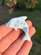 Load image into Gallery viewer, Larimar Dolphin #21*