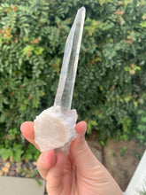 Load image into Gallery viewer, Lemurian Laser Seed*