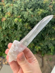 Lemurian Laser Seed*