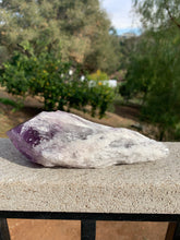 Load image into Gallery viewer, Amethyst Phantom Root*