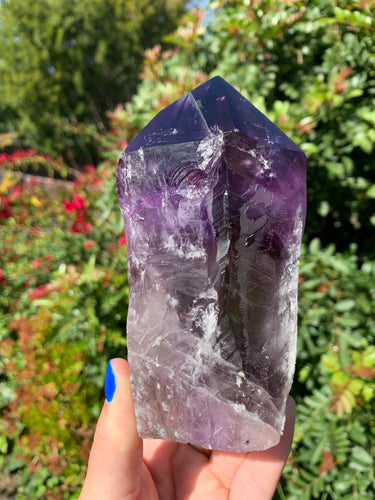 Amethyst Phantom Seed Tower