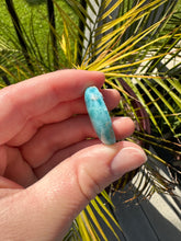 Load image into Gallery viewer, Larimar Cab