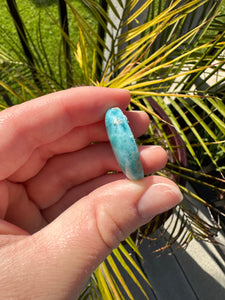 Larimar Cab
