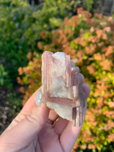 Pink Tourmaline in Quartz*