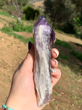 Load image into Gallery viewer, Amethyst Phantom Root*