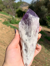 Load image into Gallery viewer, Amethyst Phantom Root*
