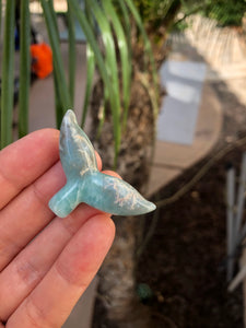 Larimar Whale Tail*