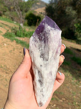 Load image into Gallery viewer, Amethyst Phantom Root*