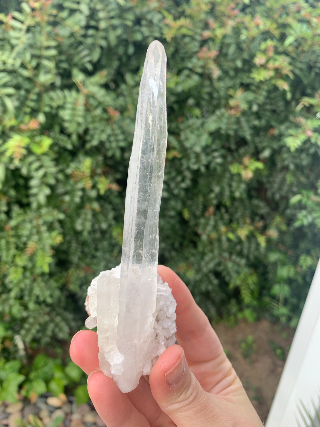 Lemurian Laser Seed*