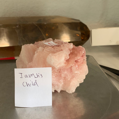 I am _ his child