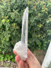 Load image into Gallery viewer, Lemurian Laser Seed*