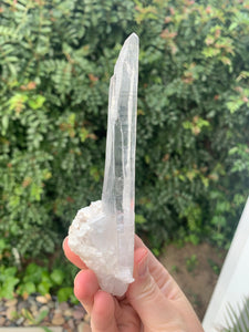 Lemurian Laser Seed*