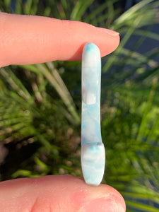 Larimar Dolphin #10*