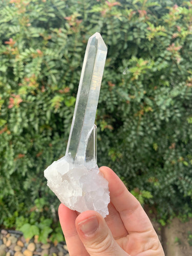 Lemurian Laser Seed*